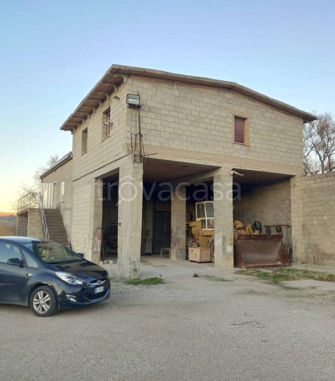 terreno agricolo in vendita a Guglionesi