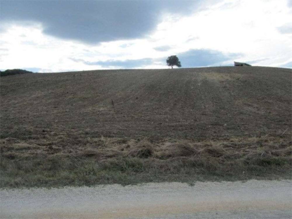 terreno agricolo in vendita a Guglionesi