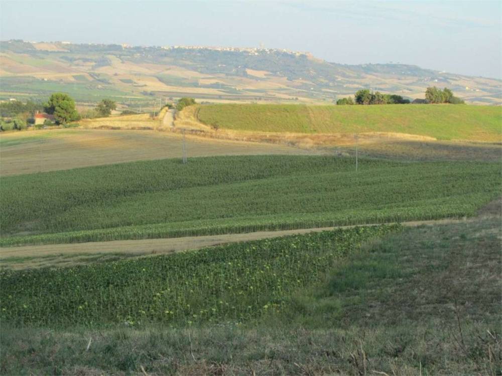 terreno agricolo in vendita a Guglionesi