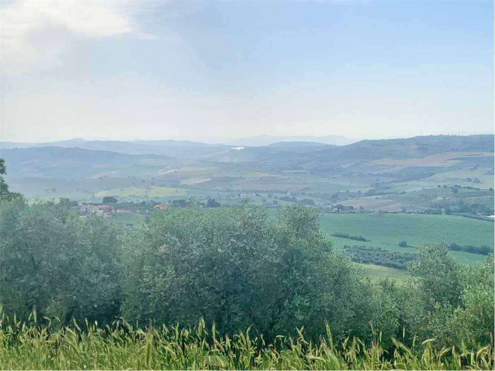 terreno agricolo in vendita a Guglionesi