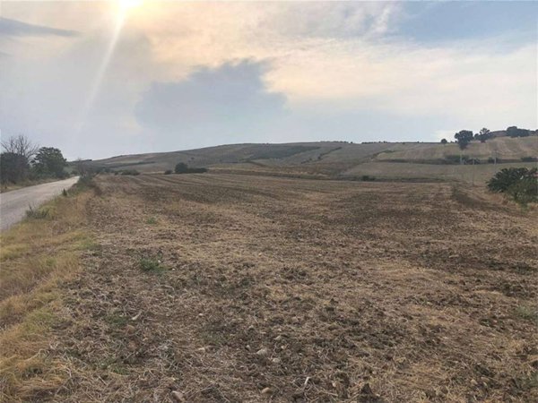 terreno agricolo in vendita a Guglionesi