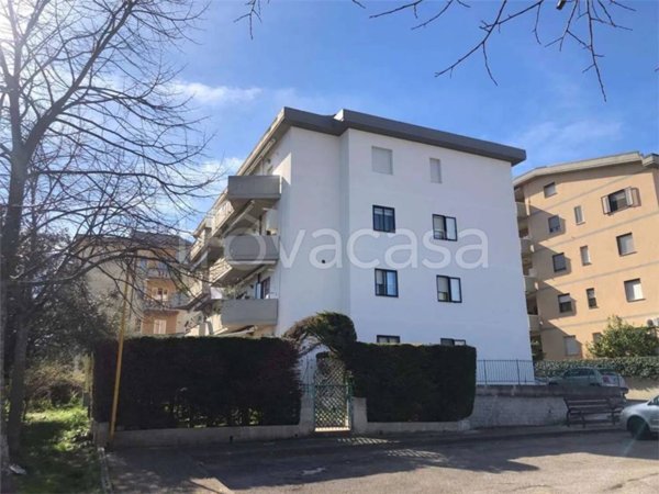 appartamento in vendita a Guglionesi