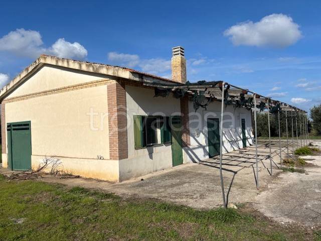 casa indipendente in vendita a Guglionesi
