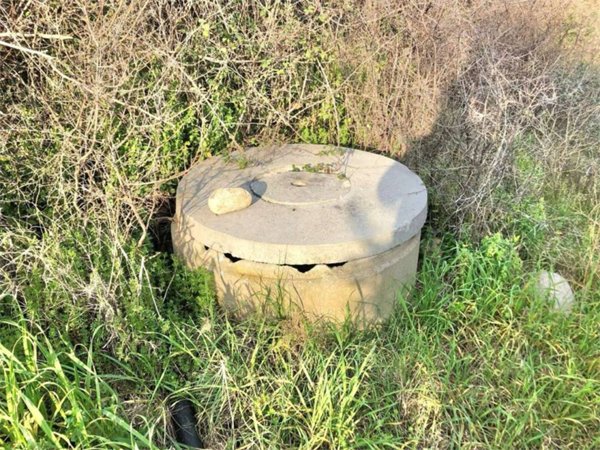 terreno agricolo in vendita a Guglionesi