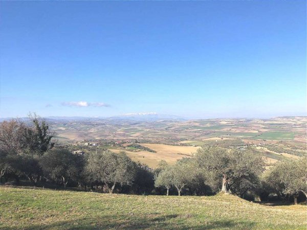 terreno agricolo in vendita a Guglionesi