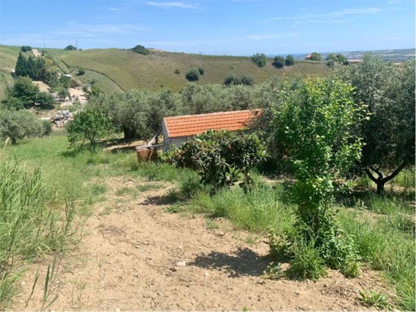 terreno agricolo in vendita a Guglionesi