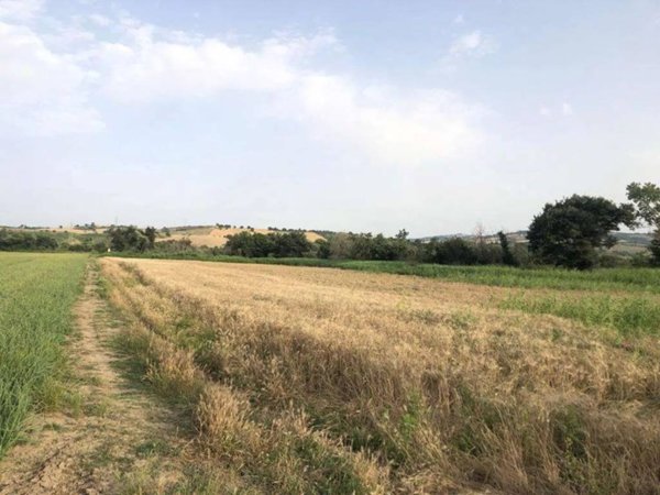 terreno agricolo in vendita a Guglionesi