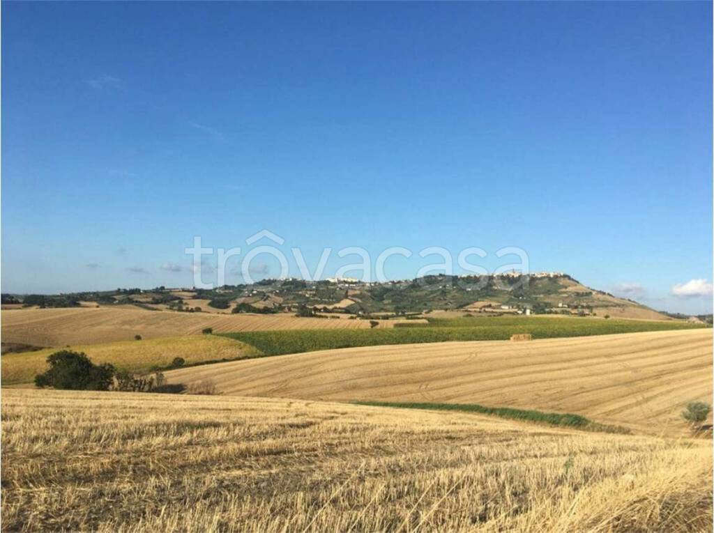 terreno agricolo in vendita a Guglionesi