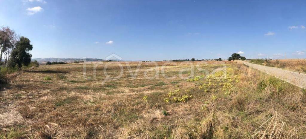 terreno agricolo in vendita a Guglionesi