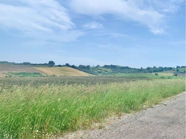 terreno agricolo in vendita a Guglionesi