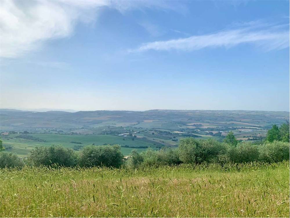 terreno agricolo in vendita a Guglionesi
