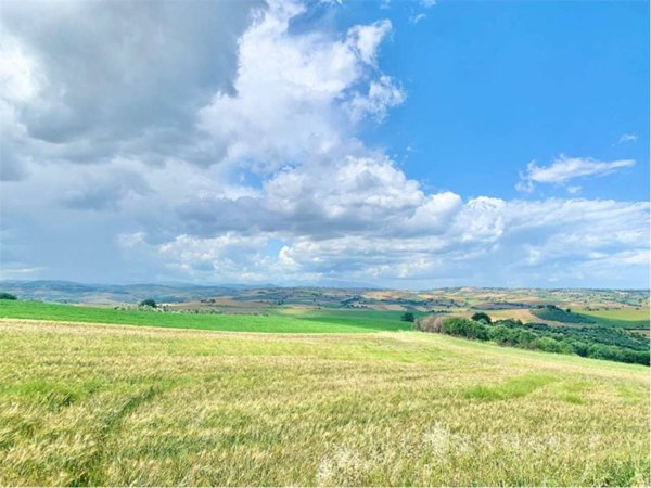 terreno agricolo in vendita a Guglionesi