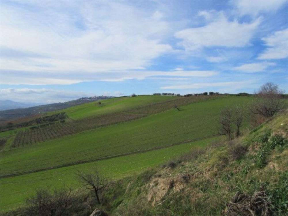 terreno agricolo in vendita a Guglionesi