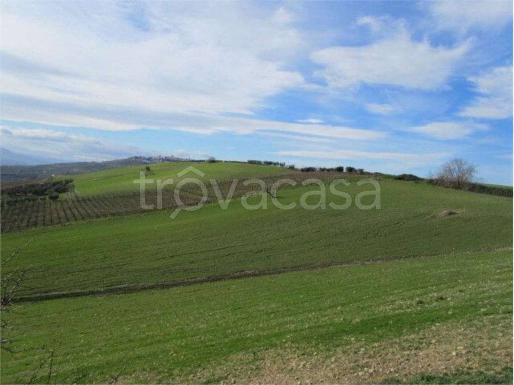 terreno agricolo in vendita a Guglionesi