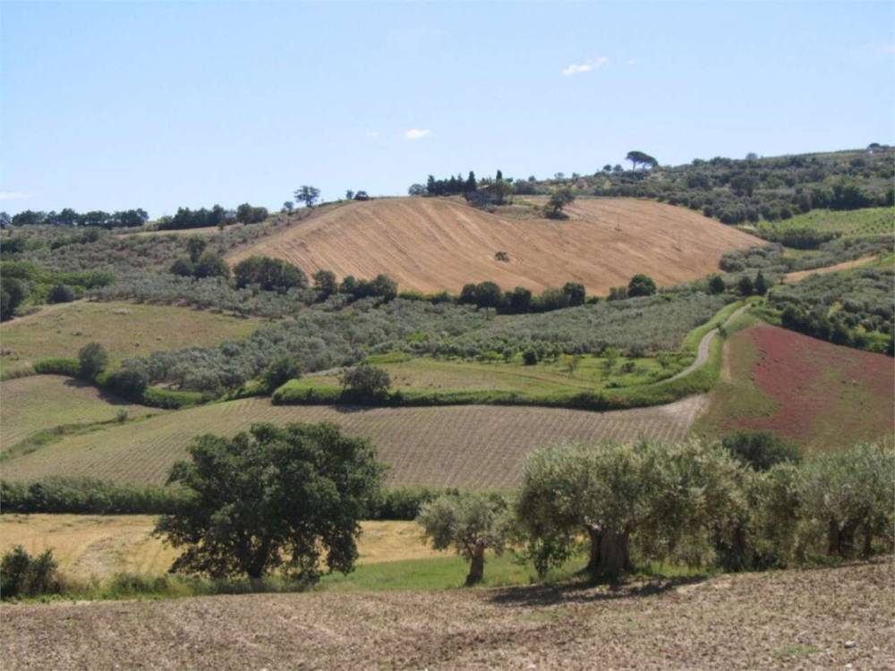 terreno agricolo in vendita a Guglionesi