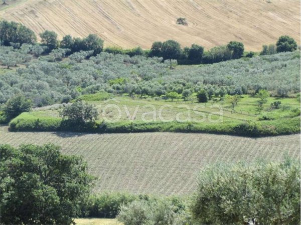 terreno agricolo in vendita a Guglionesi