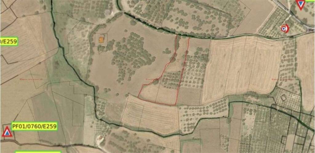 terreno agricolo in vendita a Guglionesi