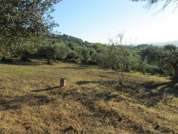 terreno agricolo in vendita a Guglionesi
