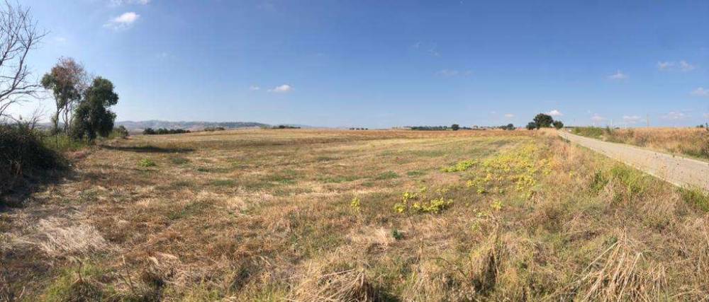 terreno agricolo in vendita a Guglionesi