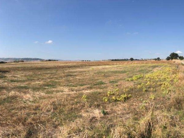 terreno agricolo in vendita a Guglionesi