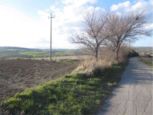 terreno agricolo in vendita a Guglionesi