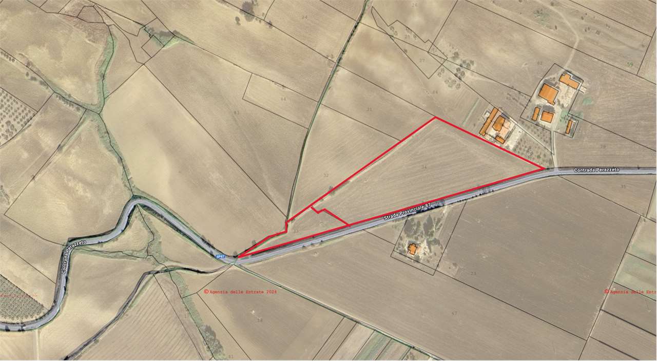 terreno agricolo in vendita a Guglionesi