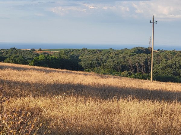 terreno agricolo in vendita a Guglionesi