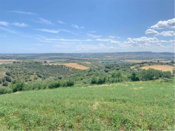 terreno agricolo in vendita a Guglionesi