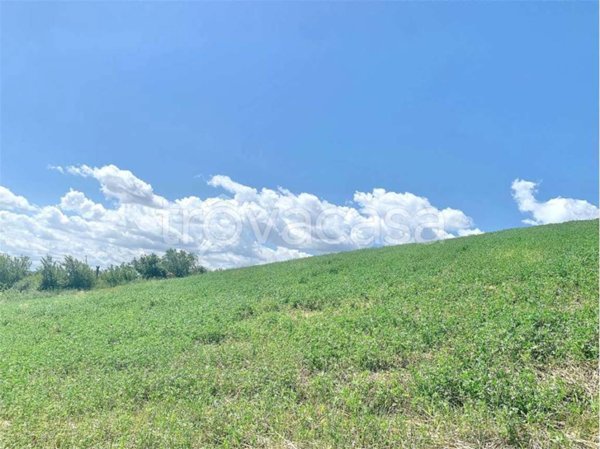 terreno agricolo in vendita a Guglionesi