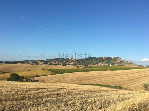 terreno agricolo in vendita a Guglionesi