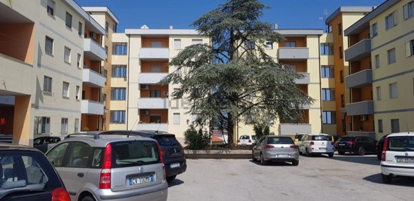 appartamento in vendita a Guglionesi