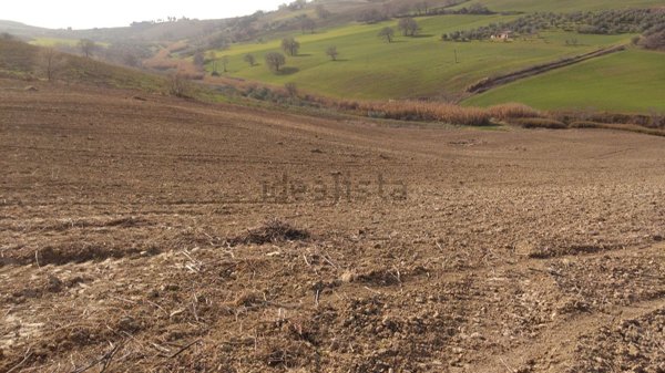 negozio in vendita a Guglionesi