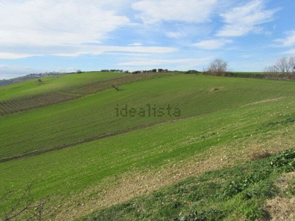 terreno agricolo in vendita a Guglionesi