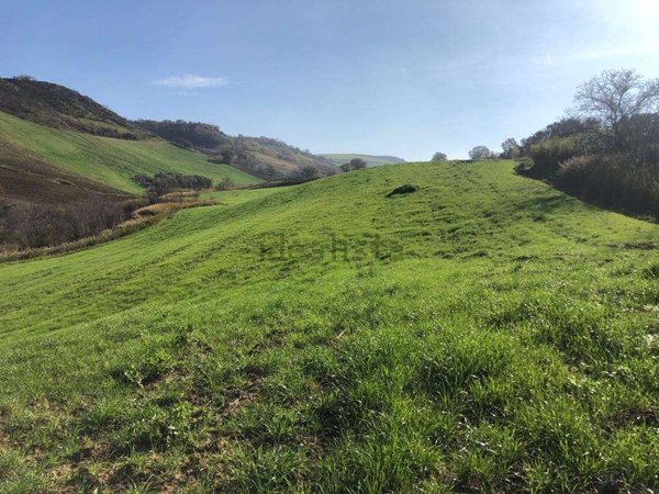 terreno agricolo in vendita a Guglionesi