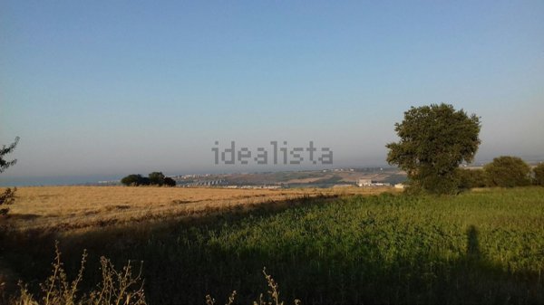 terreno agricolo in vendita a Guglionesi