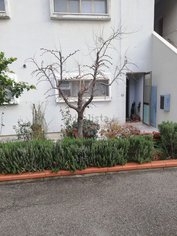 appartamento in vendita a Guglionesi