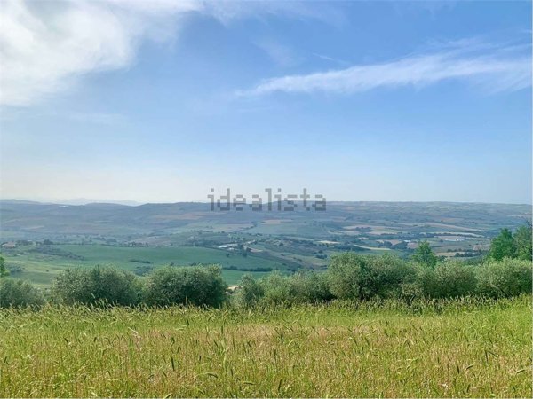 terreno agricolo in vendita a Guglionesi