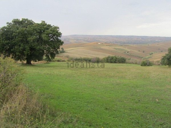 terreno agricolo in vendita a Guglionesi
