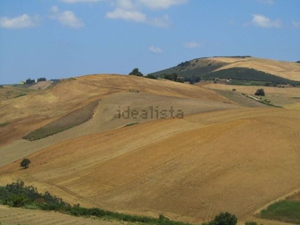 terreno agricolo in vendita a Guglionesi