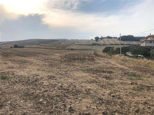 terreno agricolo in vendita a Guglionesi