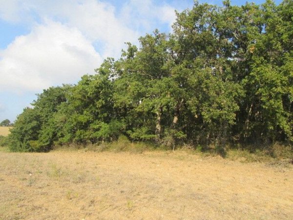 terreno agricolo in vendita a Guglionesi