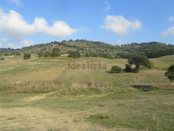 terreno agricolo in vendita a Guglionesi
