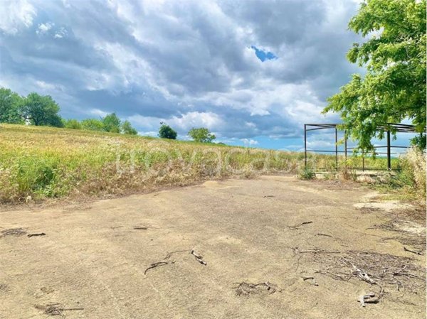 terreno agricolo in vendita a Guglionesi