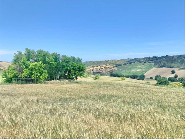 terreno agricolo in vendita a Guglionesi
