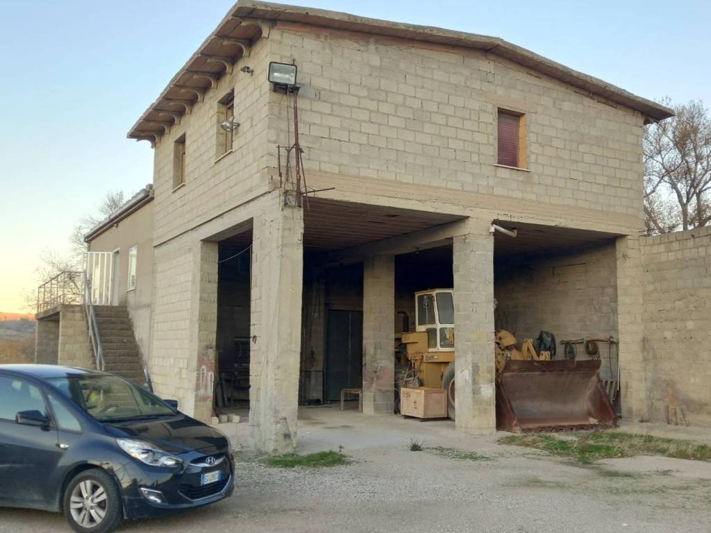 terreno agricolo in vendita a Guglionesi