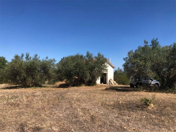 terreno agricolo in vendita a Guglionesi