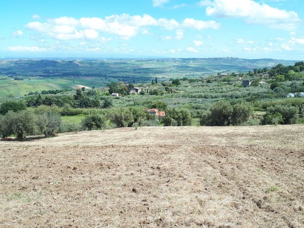 terreno agricolo in vendita a Guglionesi