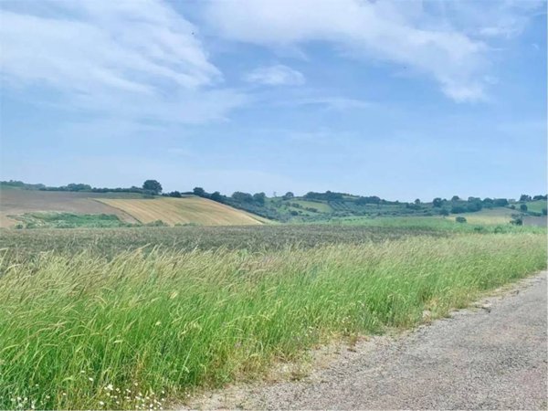 terreno agricolo in vendita a Guglionesi