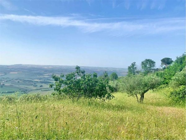 terreno agricolo in vendita a Guglionesi