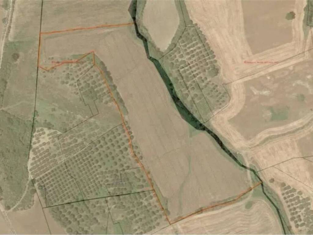 terreno agricolo in vendita a Guglionesi